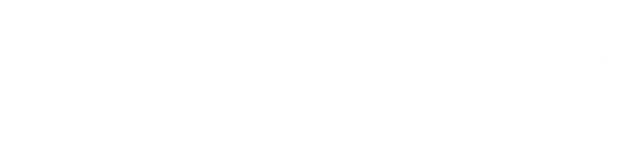 logo Socialter